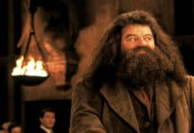 Robbie Coltrane como Hagrid