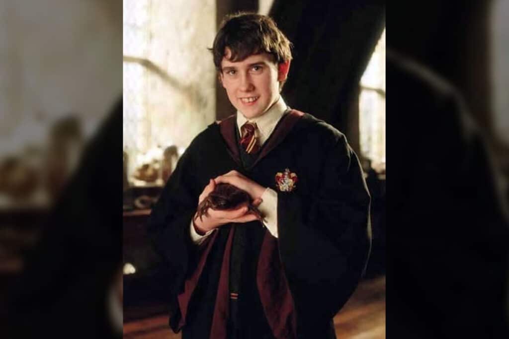 Neville Longbottom - Reprodução Harry Potter