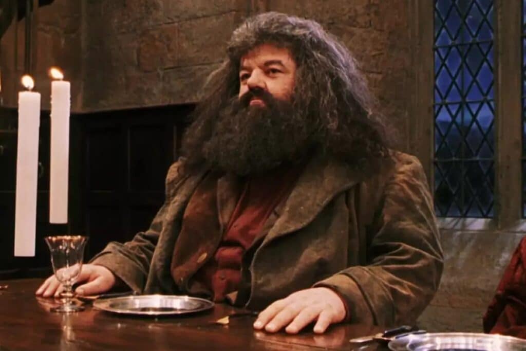 Robbie Coltrane Harry potter - Divulgação