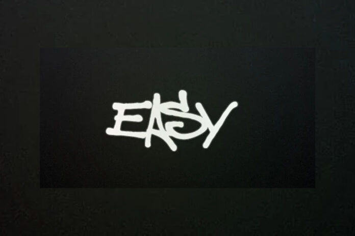 Logo Easy Studios