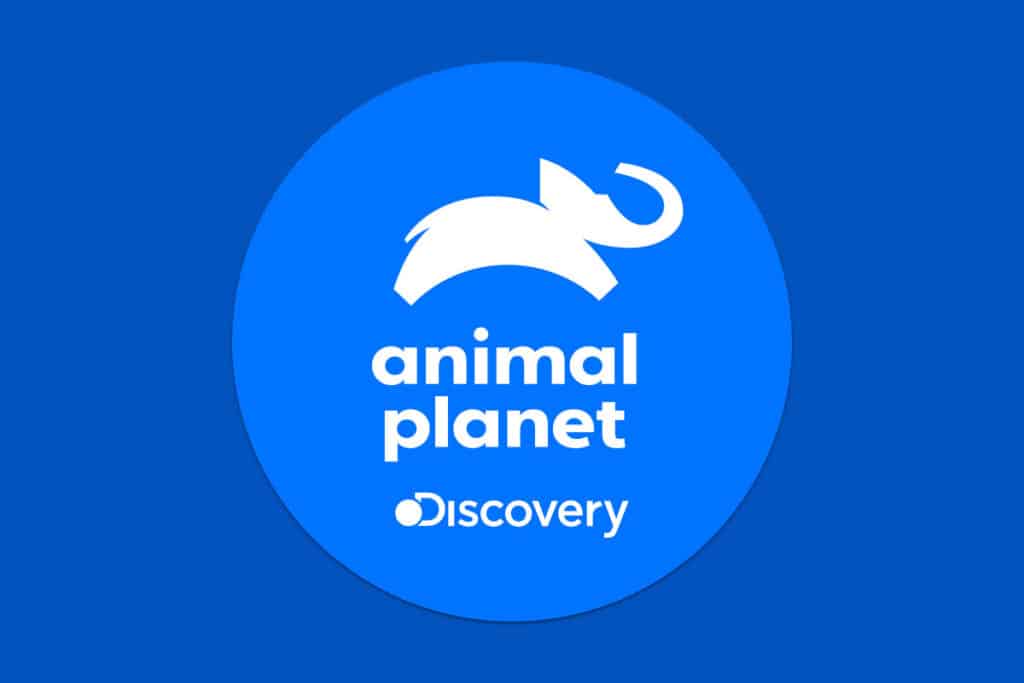 Animal Planet: canal reproduzino na Claro Tv+