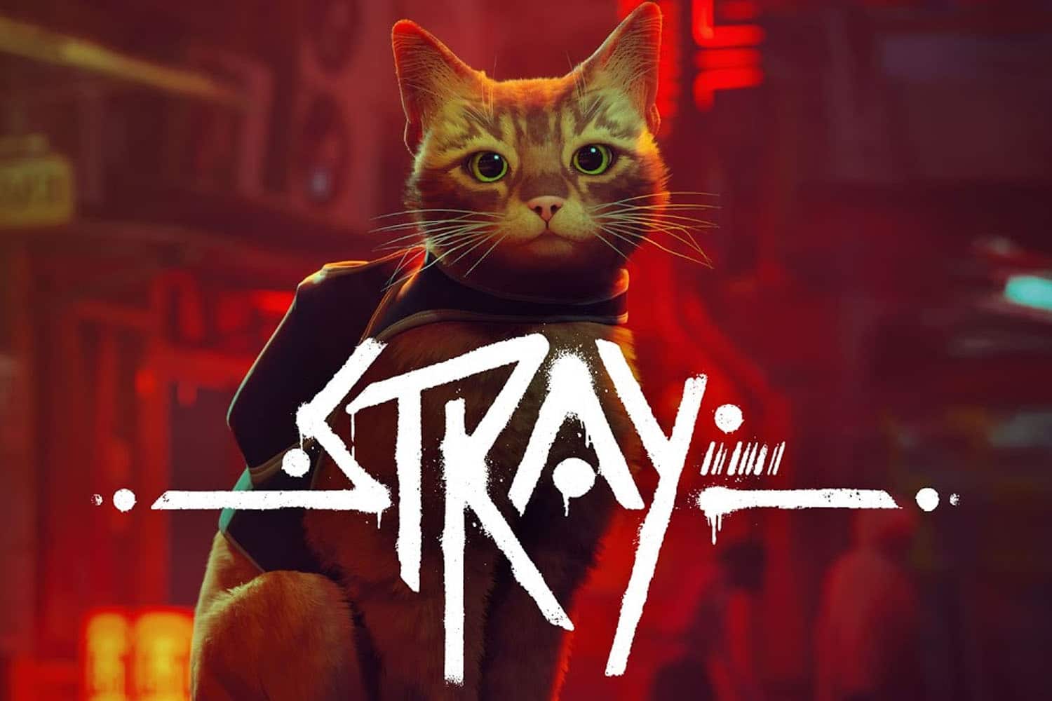 Stray: jogo do gato de mochila ganhará filme animado com diretor