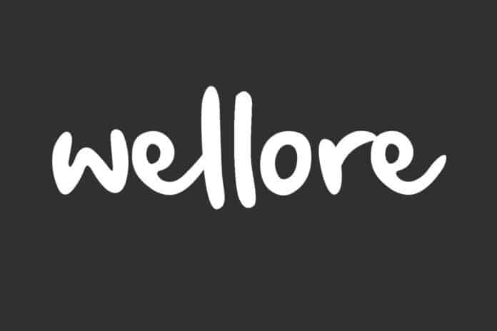 Logo da empresa Wellore