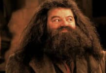 Imagem do personagem Rúbeo Hagrid