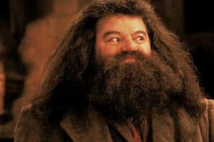 Imagem do personagem Rúbeo Hagrid