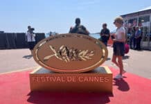 Festival de Cannes. Foto: Julie de Sortiraparis.