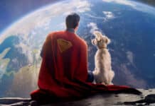 Superman e Krypto