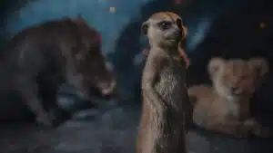 Timão e Pumba cantando "Hakuna Mufasa" em teaser de Mufasa: O Rei Leão