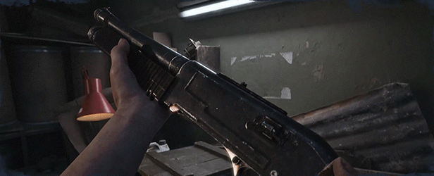 shotgun