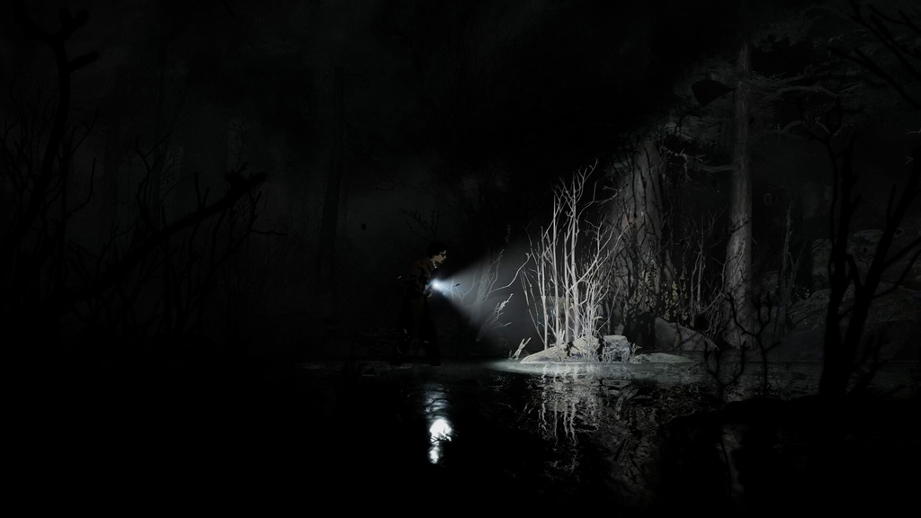 Silver Pines lembra Alan Wake